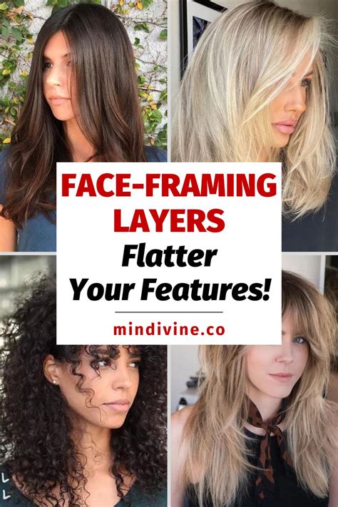 Face Frame Vs Layers