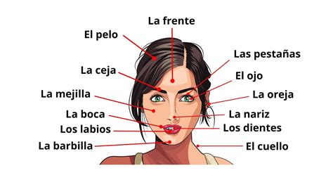 Face Is Spanish