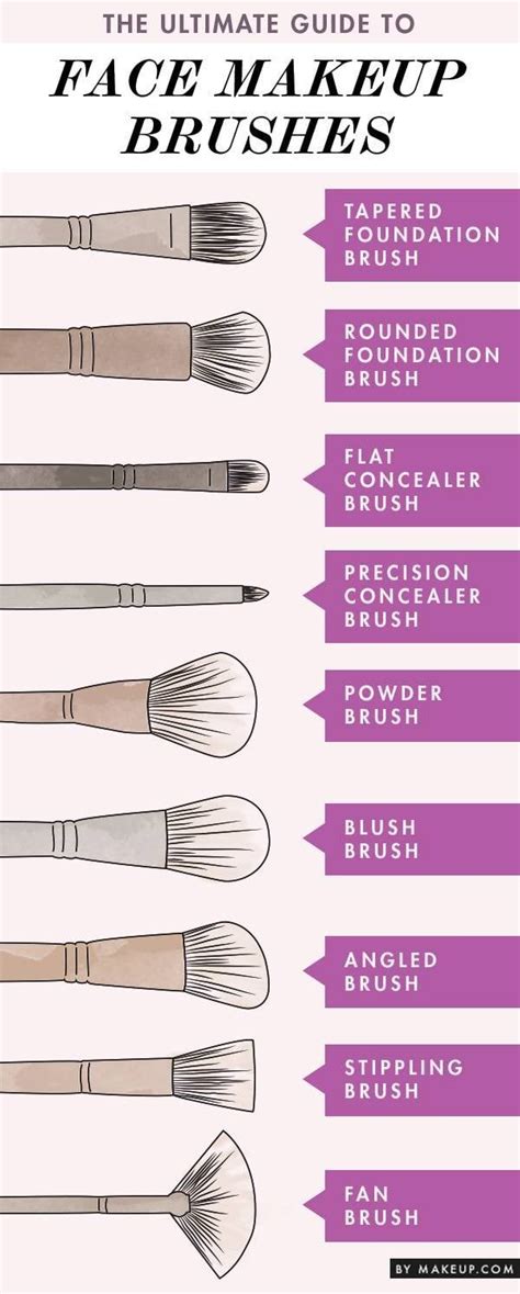 Face Makeup Brushes Guide