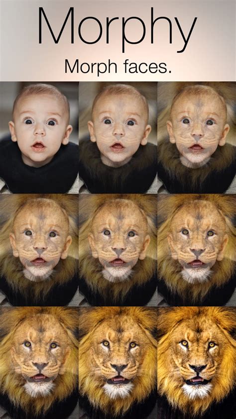 Face Morph Video Clip