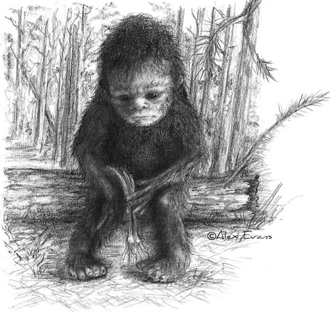 Best Free Face Of Bigfoot Drawing Sketch Artist For Beginner