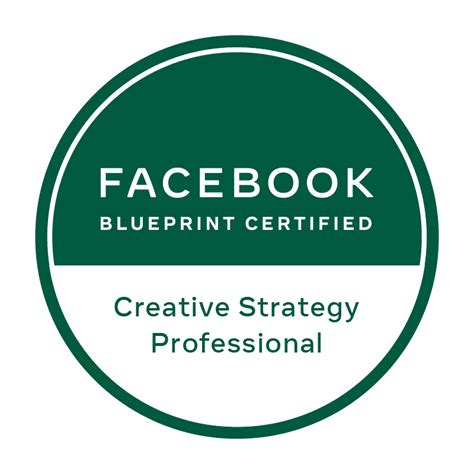 Digital Sai Facebook Certified Digital Marketing Consultant