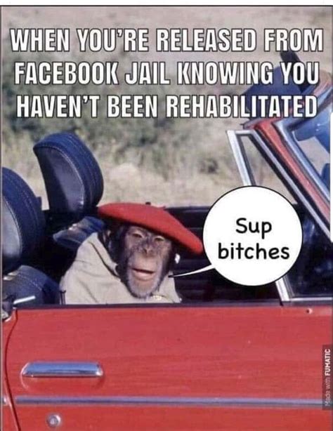 Facebook Jail Release Meme