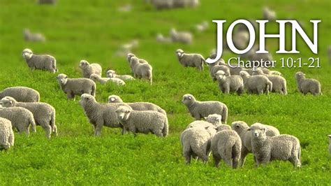 facebook live good shepherd sermon