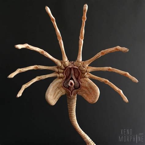 Facehugger Based On