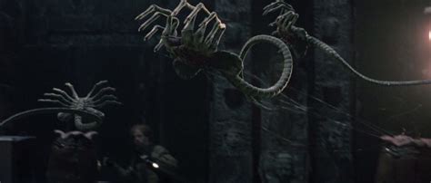 Facehugger Vs Predator
