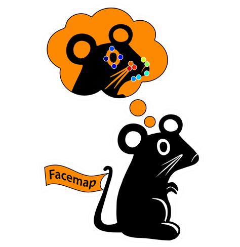 Facemap Github