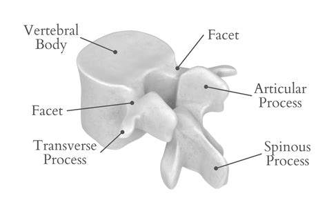 Facets Testing Meaning