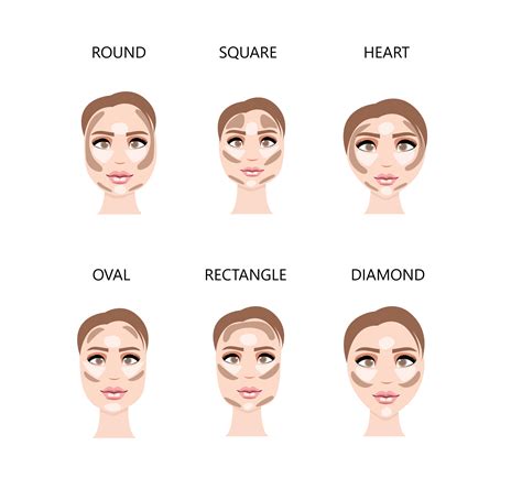 Facial Contour Is
