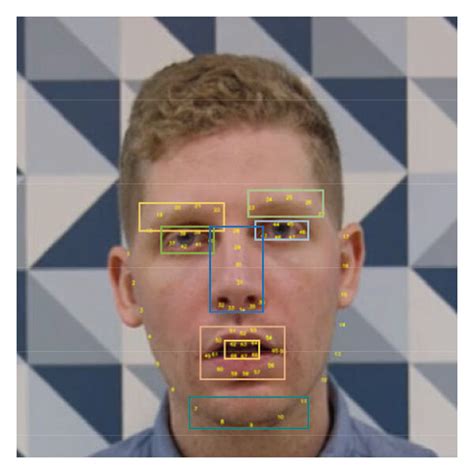 Facial Key Detection