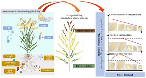 factors affecting filling time