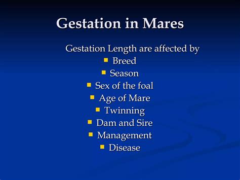 Factors that Affect Mare Gestation
