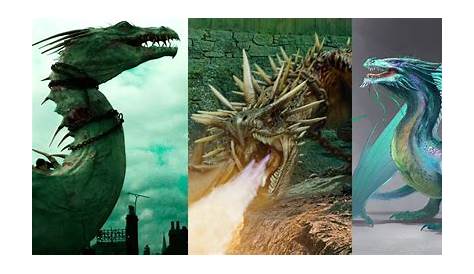 Harry Potter Quiz: Which Dragon Would Be Your Perfect Pet? | Harry