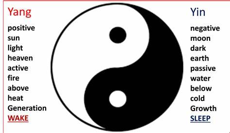 Yin Yang Meaning - An unique approach | Yin yang, Yin yang meaning