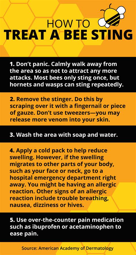 facts about bee stings
