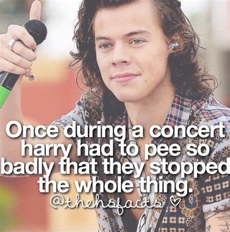 facts about harry styles