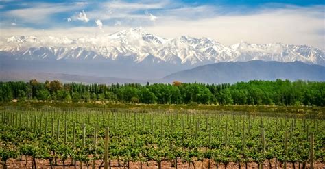 facts about mendoza argentina