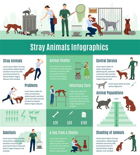 facts about stray animals