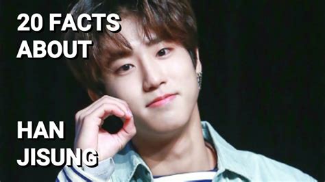 facts about stray kids