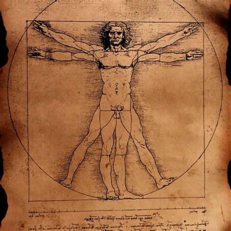 facts about the vitruvian man