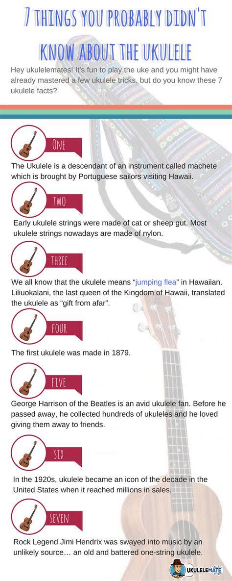Facts Of Ukulele
