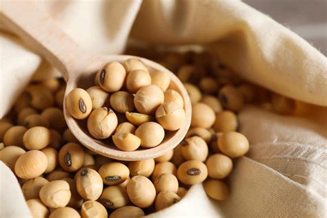 Facts On Soybeans