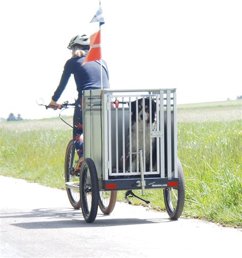 Fahrradanhänger Hund mieten leihen Petego Comfort Wagon L in Nordrhein