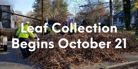 fairfax leaf collection dates