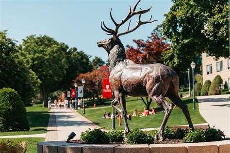 fairfield university mba program ranking