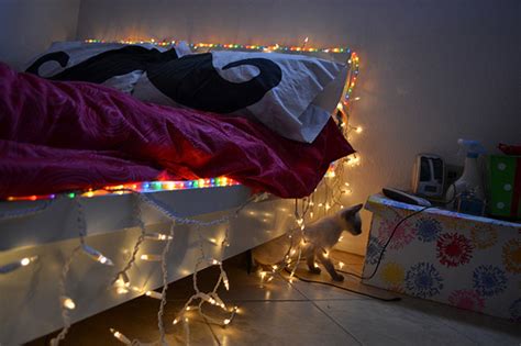 Meghan Rienks bedroom // IKEA malm bed with fairy lights and picture