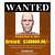 fake wanted poster template
