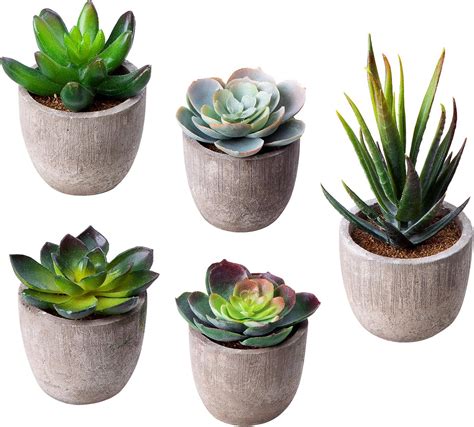 Fake Plants Amazon Com