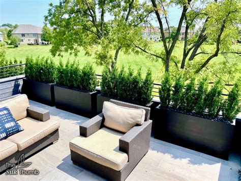 Fake Plants For Deck