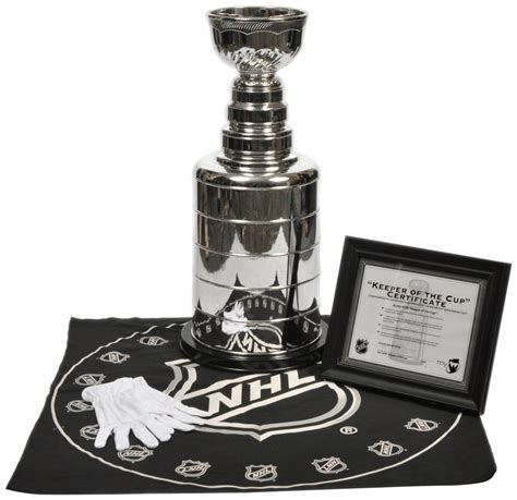 fake stanley cup amazon