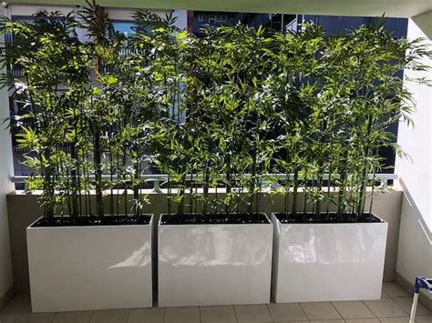 Fake Trees For Screening