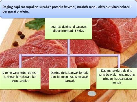 Faktor-faktor yang mempengaruhi warna daging
