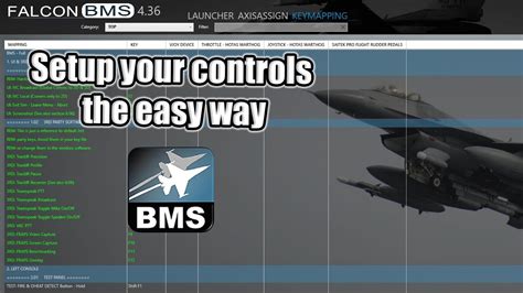 falcon bms controls setup