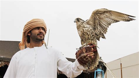 falcon economy abu dhabi