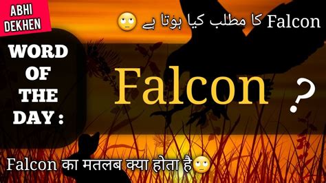 falcon meaning in urdu
