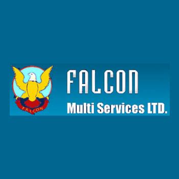 falcon multi services limited saudi arabia
