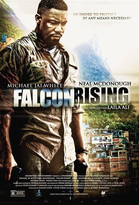 falcon rising de 2014