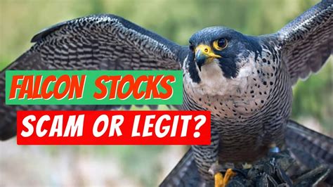 falcon stocks login