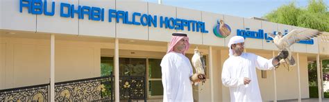 falcon world county hospital