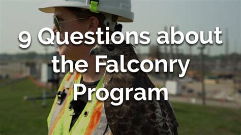 falconry questions