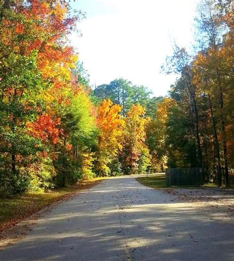 America the Beautiful in Autumn Peak Fall Foliage Dates for 48 States