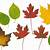 fall leaves images printable