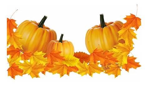 Autumn Pumpkin PNG Clipart | Gallery Yopriceville - High-Quality Free