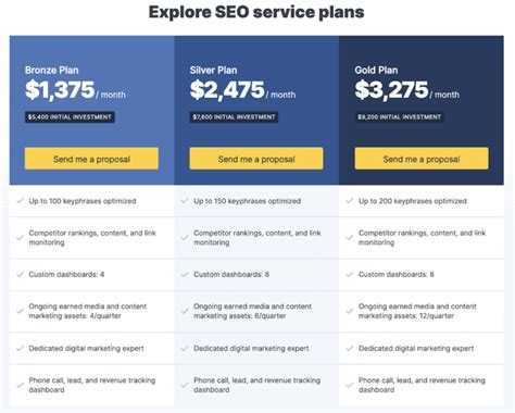 fall 2023 seo services packages in dallas