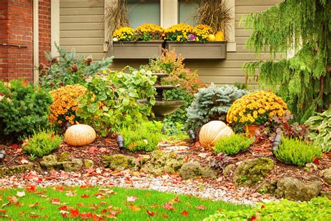 fall 2023 specials for garden plants