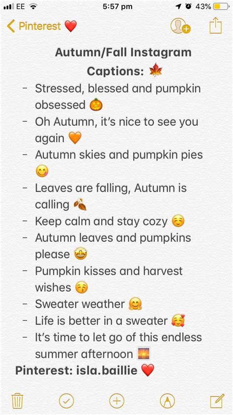 Fall Captions for Instagram Couples